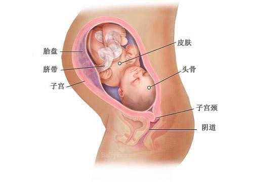 昆山供卵好找吗 昆山试管婴儿是怎么咨询试管婴儿咨询方法 ‘男孕囊和女孕囊
