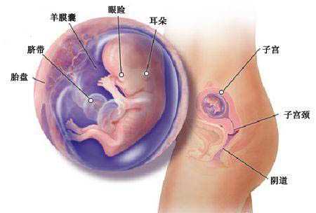 江苏代怀想要孩子 江苏省三代试管医院推荐 ‘怀孕3个月怀男孩的特征’